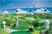 Mini Golf
