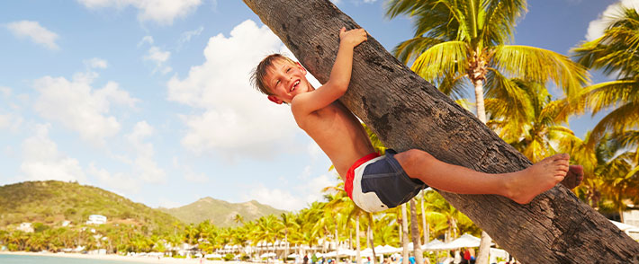 Carnival Cruises thumbnail image