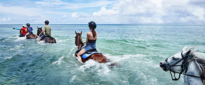 Princess Cruises thumbnail image