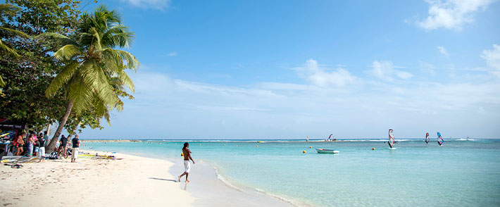 MSC Cruises thumbnail image